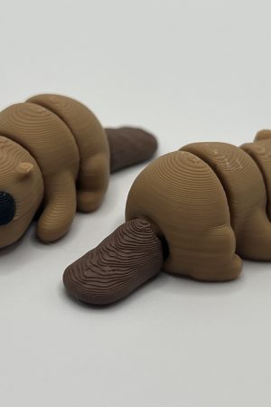 Baby Boy Beaver