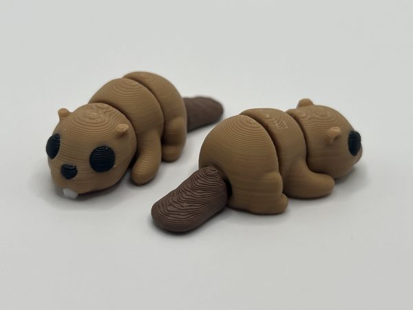 Baby Boy Beaver