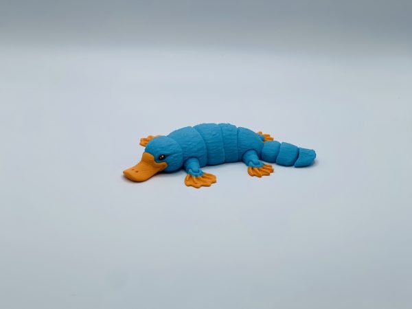 Mini Platypus